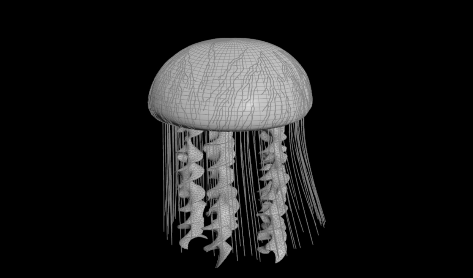 Jellyfish